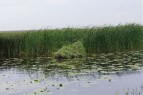 Лодка-кресло Marko Boats Зверобой-2